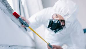 Best Pest Control for Multi-Family Homes  in Central Islip, NY